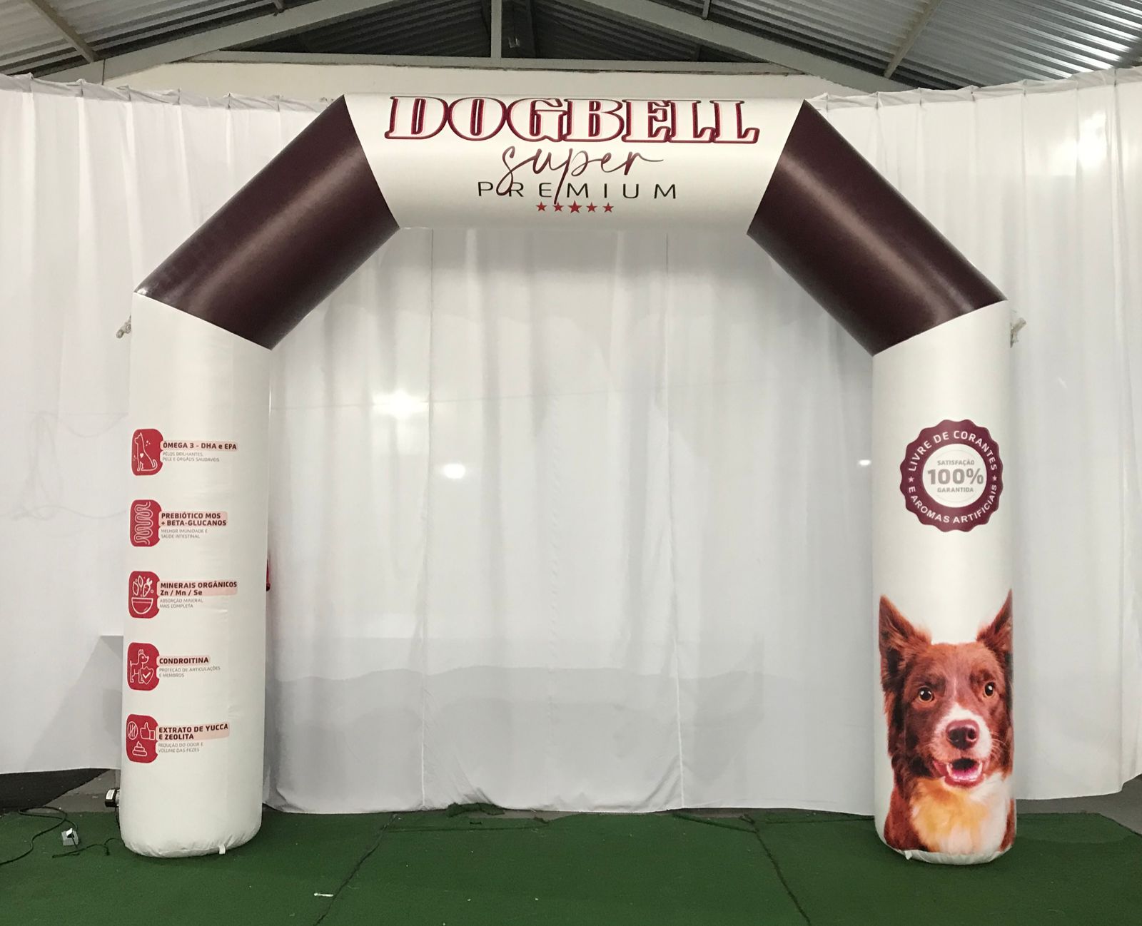 Portais infláveis em maringá (5)